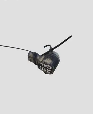 Renault Koleos I Parking PDC sensor 607075 28438JZXXB