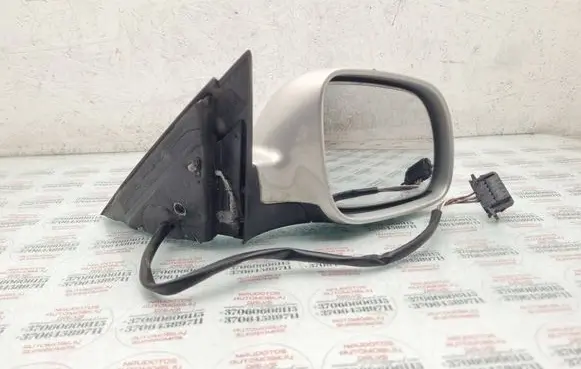 Volkswagen PASSAT B5 Front door electric wing mirror E1020514