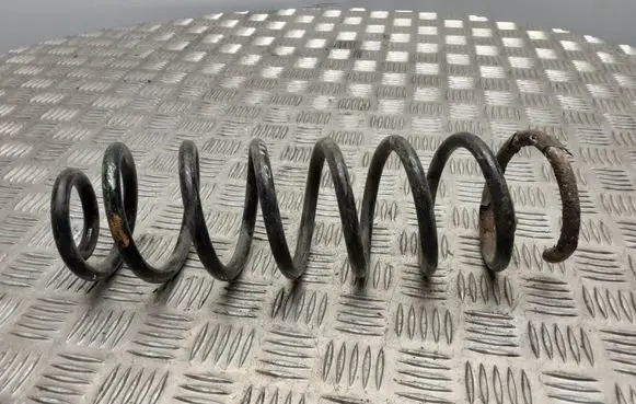 Renault Megane II Rear coil spring
