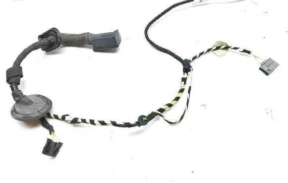 Rear door wiring loom