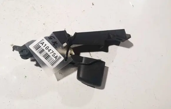Dodge Grand Caravan Other rear door trim element 