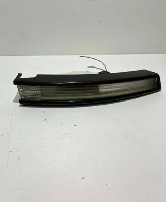 Volkswagen PASSAT B6 Front indicator light 3C0953042L
