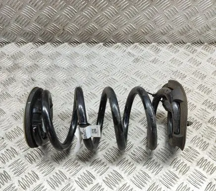 Tesla Model Y Rear coil spring 118847600B
