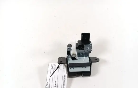 Loading door lock