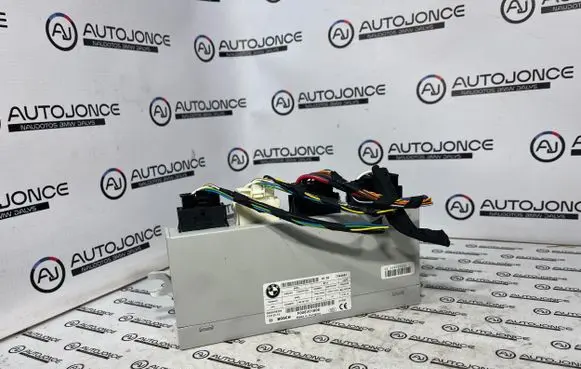 BMW 5 F10 F11 Tailgate/trunk control unit/module 7394651 F005V01606