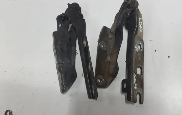 Volkswagen Golf V Engine bonnet/hood hinges 