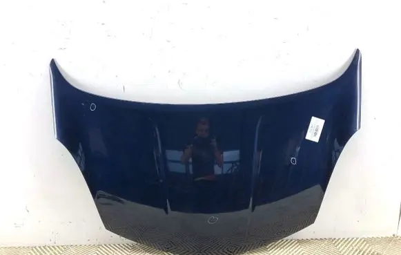 Engine bonnet/hood
