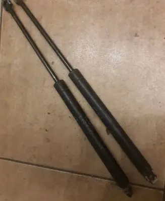 Tailgate/trunk strut/damper