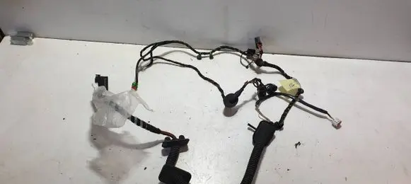 Front door wiring loom