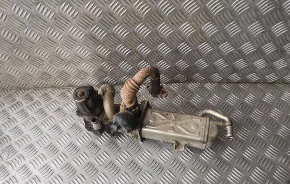 Skoda Octavia Mk2 (1Z) EGR valve 0280751016 03L131512DQ