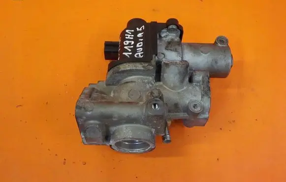 Audi A5 EGR thermostat D50207000