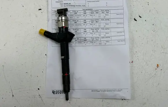 Nissan Navara D40 Fuel injector 16600EB300