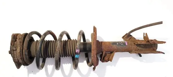 Nissan Qashqai Front shock absorber/damper 54302jd04a 824903007907