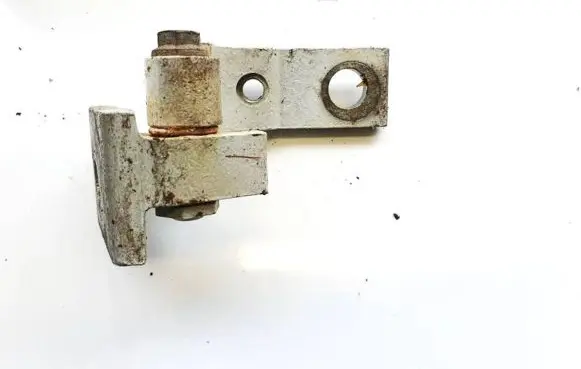 Fiat Punto (188) Rear door lower hinge