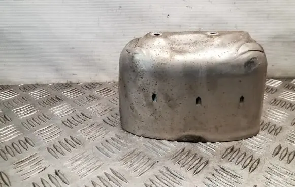 Exhaust heat shield