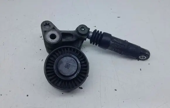 Volkswagen Phaeton Generator/alternator belt tensioner 059145201F