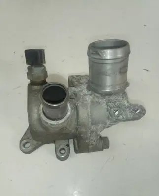 Thermostat/thermostat housing
