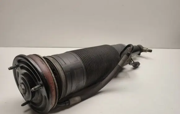 Mercedes-Benz CL C216 Front shock absorber/damper A2213208313