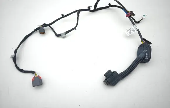 Rear door wiring loom
