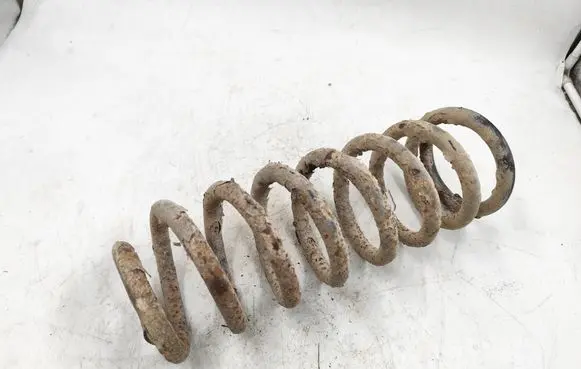 Rear coil spring