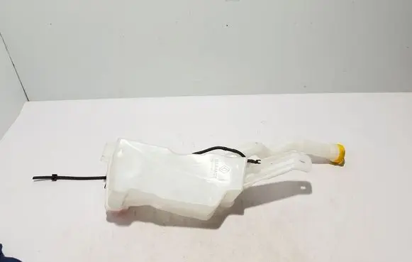 Renault Kangoo III Windshield washer fluid reservoir/tank 289102447R