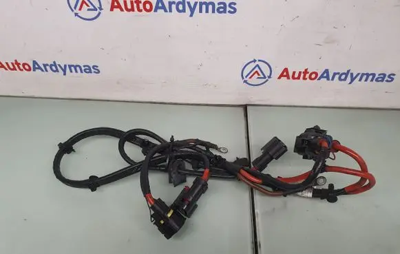 BMW X3 F25 Other wiring loom 9243628 61129243628 61129367681