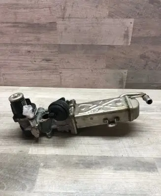 Volkswagen Tiguan EGR valve 0280751016 11725509