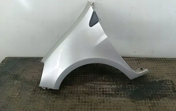 Renault Clio III Fender 