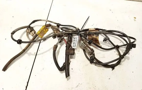 Other wiring loom
