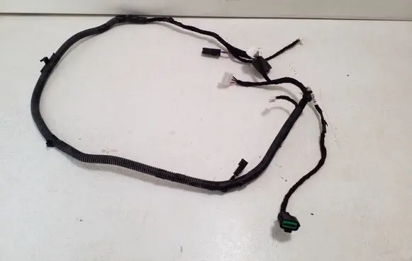 Other wiring loom