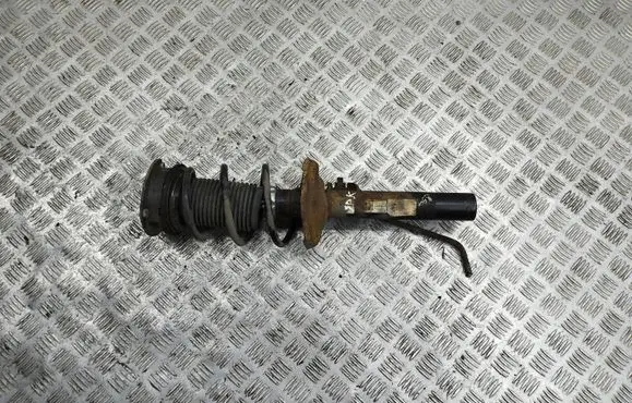 Front shock absorber/damper