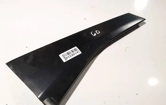 Other rear door trim element