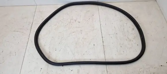 Jaguar I-Pace Rubber seal rear door J9D3-253A10-1