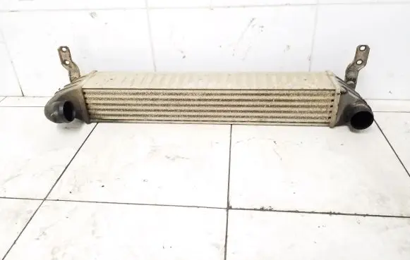 Volkswagen Sharan Intercooler radiator 7M3145805