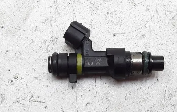 Renault Scenic RX Fuel injector fby2850