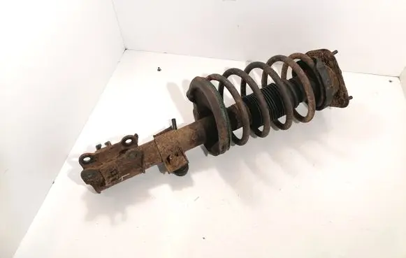 Front shock absorber with coil spring