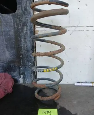 Chevrolet Rezzo Rear coil spring