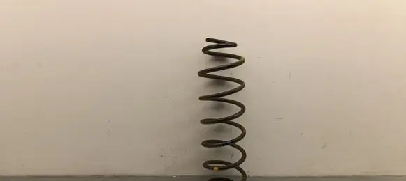 Citroen C4 III e-C4 Rear coil spring
