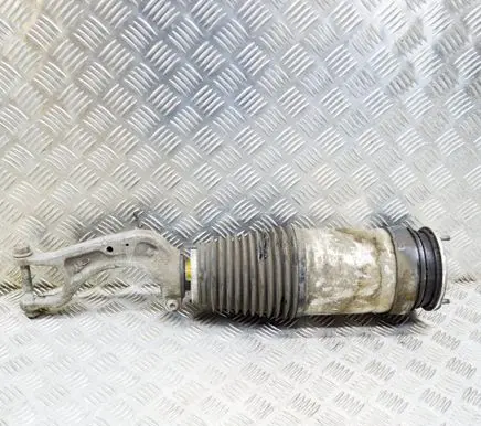 Tesla Model S Front shock absorber/damper 103060900D 106736100C