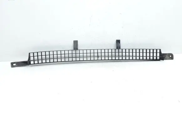 Radiator trim