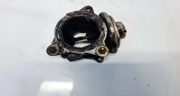 Volkswagen Touran I EGR valve 038131501S