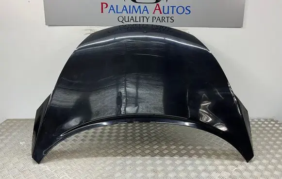 Nissan Juke I F15 Engine bonnet/hood hinges