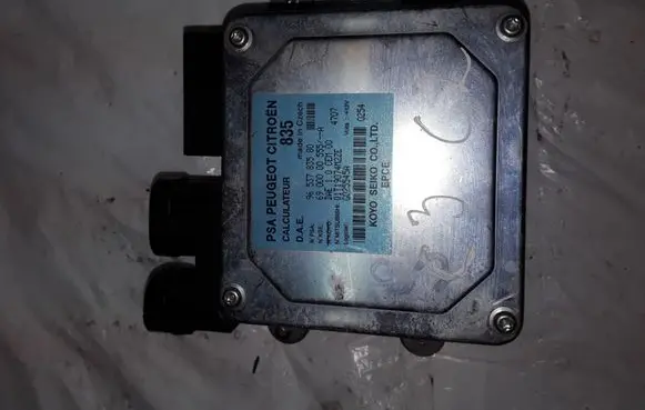 Citroen C3 Steering rack control module 9653783580 6900000555A Q1T19074M2ZE