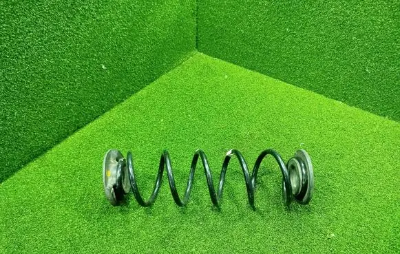 Rear coil spring