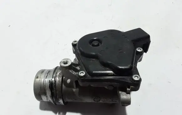 Renault Captur Throttle valve 161A09794R