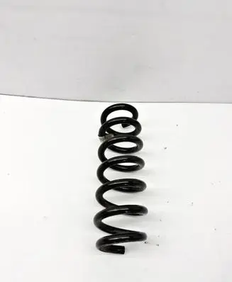 Rear coil spring