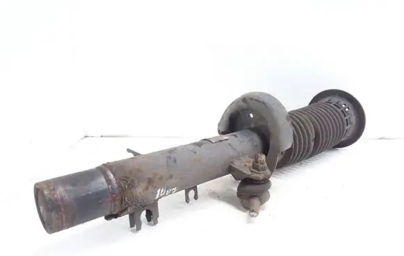 Peugeot 1007 Front shock absorber/damper 9656373480