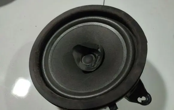 Front door speaker