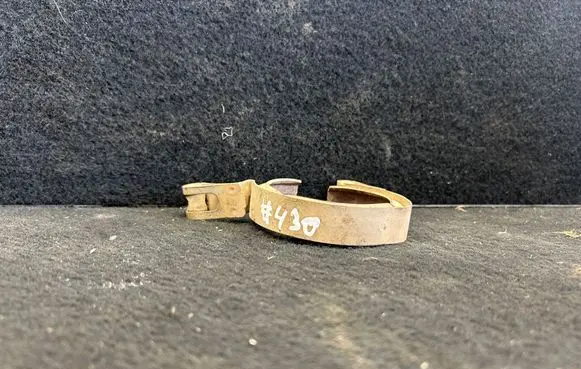 Volkswagen PASSAT B6 Muffler pipe connector clamp 1k0253725