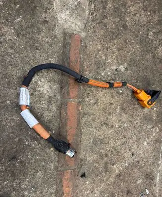 Renault Austral Other wiring loom 240413579R